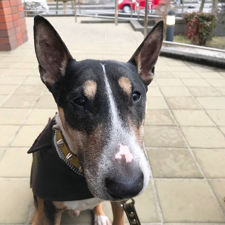 02174d3f 49e0 45d6 8f32 ba57fcea1460 1518336398689