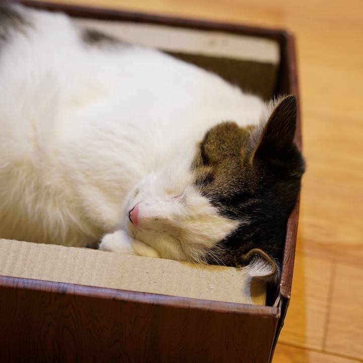 021755b0 cfeb 4f3b b10b 91e8329a263e 1571063003317