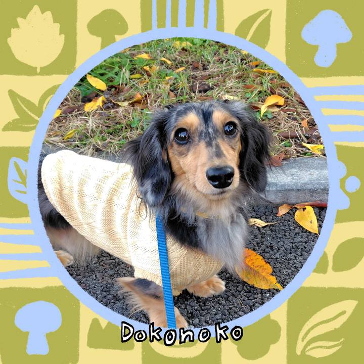 02177c2f 7e5d 4a39 9590 7c759648616d 1762344465330