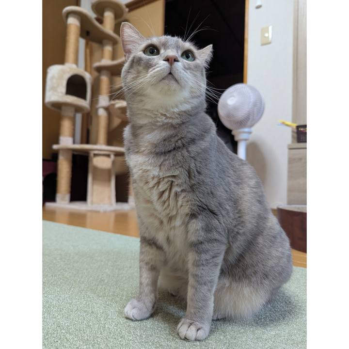 02178526 92cf 4e62 b397 dfadce906cd5 1750662665857