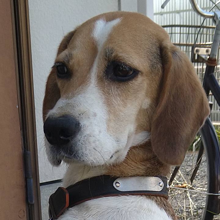 0217893f 0b20 442a 99f6 ae6c897229d4 1661856740401