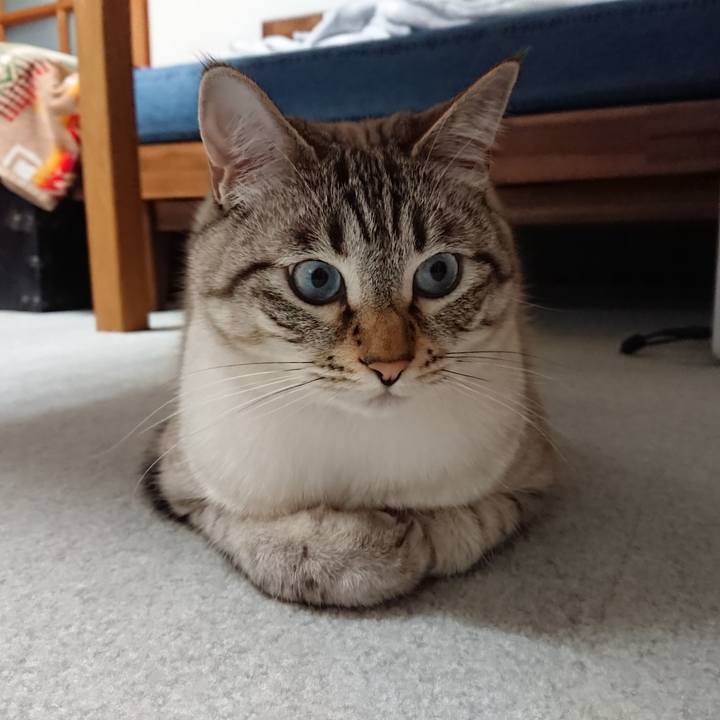 0217b0e4 7bdb 4686 a7c1 7ad7235be237 1560353448869