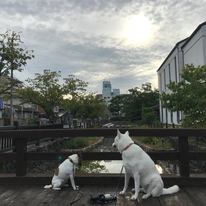 0217c648 033e 43d6 9a87 0ccea270b7fb 1535842085895