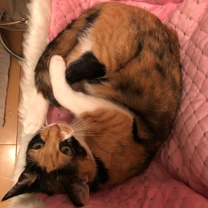 0217ef12 ea9a 437e a7f2 c19e832916a5 1536851644285