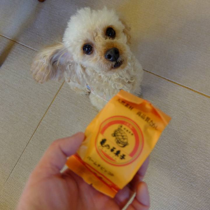 02180ccc e8a8 4e40 b274 d2cd0e095d75 1642410935627