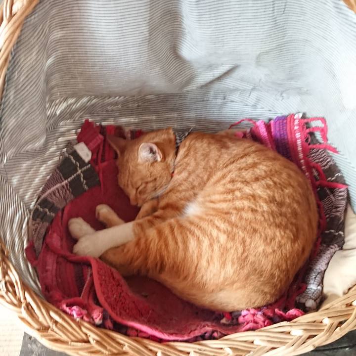 02185f6b b278 48dc 836a 89705c5a0f49 1569037946686