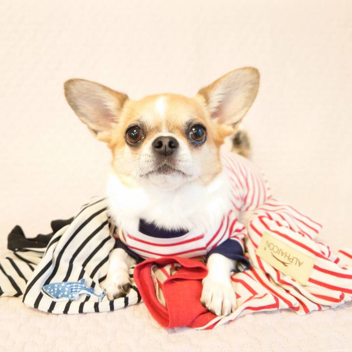 021866f9 063f 4d53 9cb4 c7721877f1f9 1656065296833