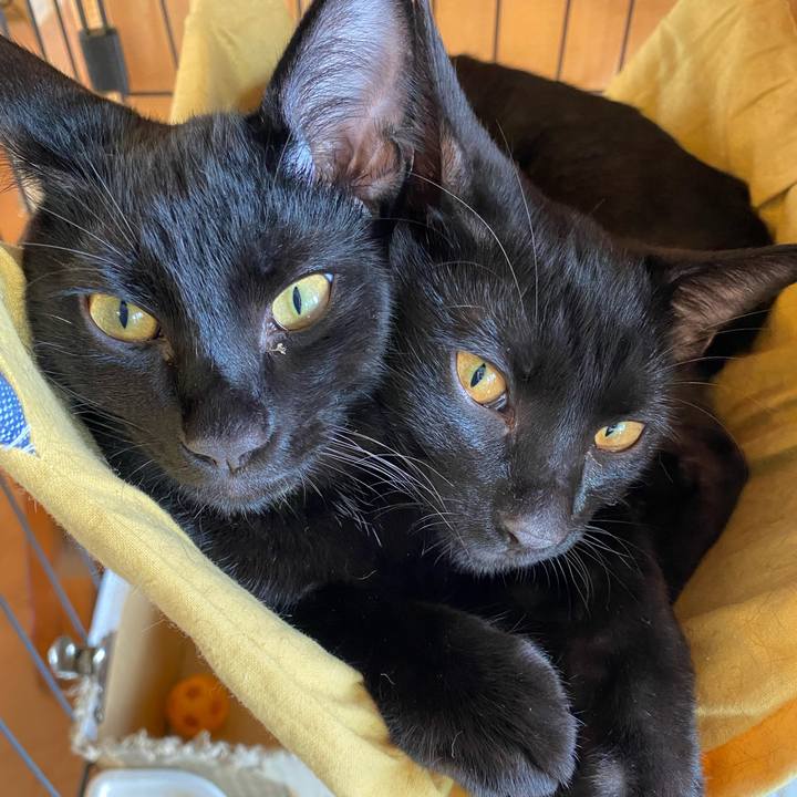 02187596 93c4 4c16 b2f8 d7f0b671cc4a 1757822879013