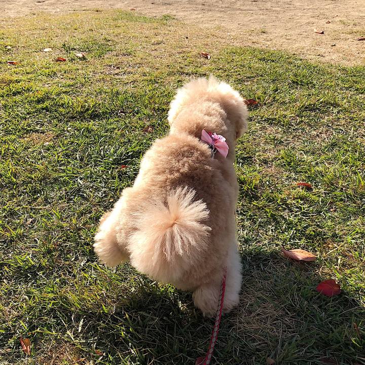 0218b1e5 ce3a 40c1 839e c7c6929f05c6 1541151615630