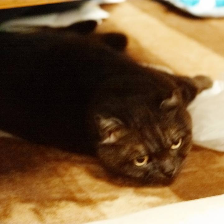 0218b863 3aaf 4f71 a741 6a850238cfd1 1620731234969