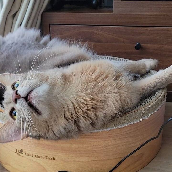 0218d1bd 4eae 4d06 9bc4 1dc4ed15b8be 1680352000885