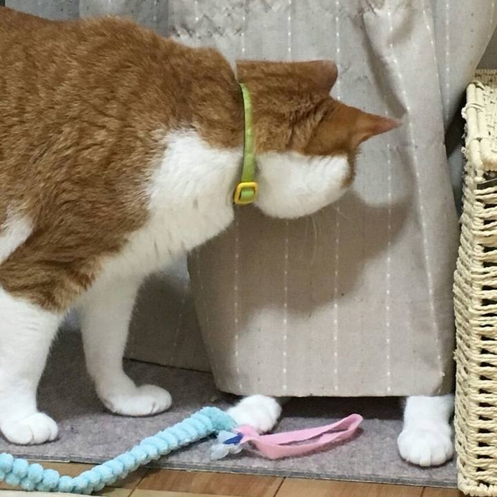 0218d567 f00e 47f2 9e65 51b4e29e9d49 1510277647768