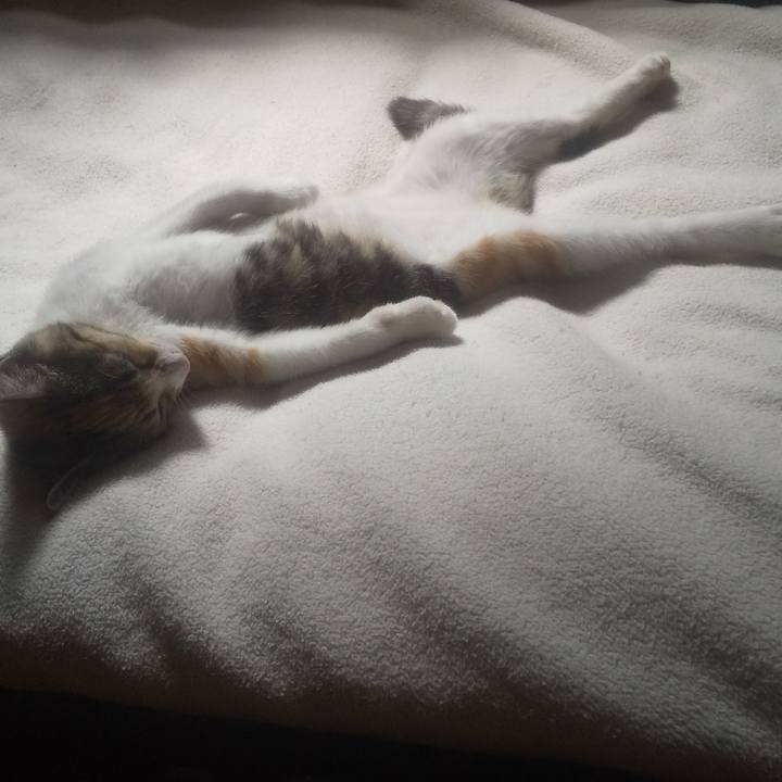 021902e1 0264 4898 846c 6c3c646d7573 1724389125361