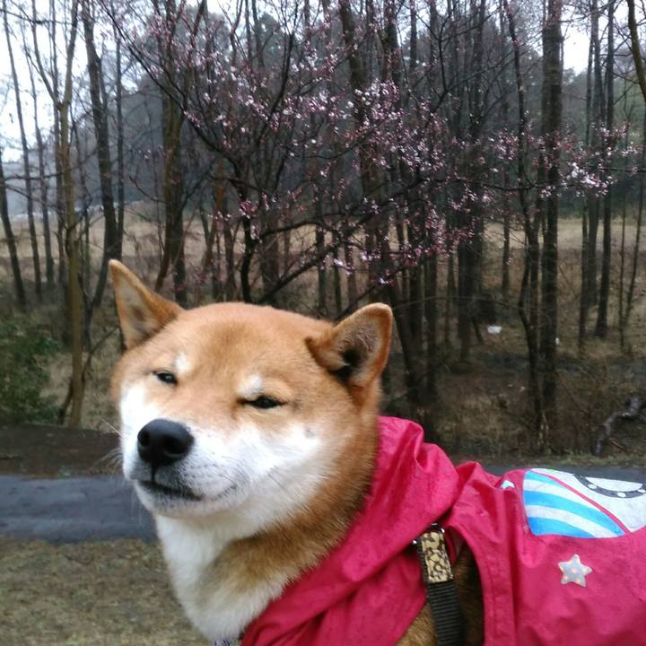 02191b46 4170 456a a5f6 ac720d67421c 1520498798316