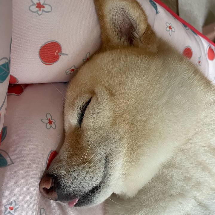 02193fde 1547 4c9f a7df 59e1da3d4387 1694579143059