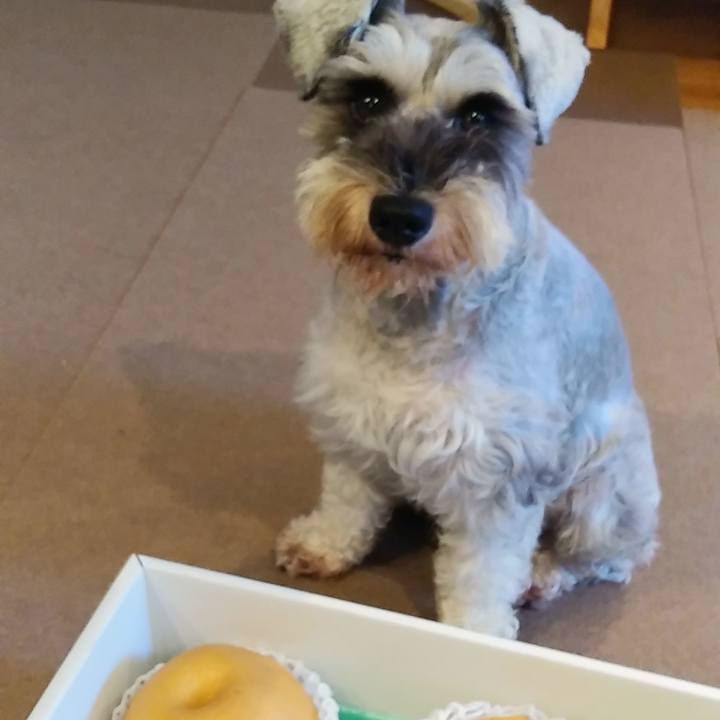 02195ff4 e87c 458a 91e1 3466e86c0927 1568588663194