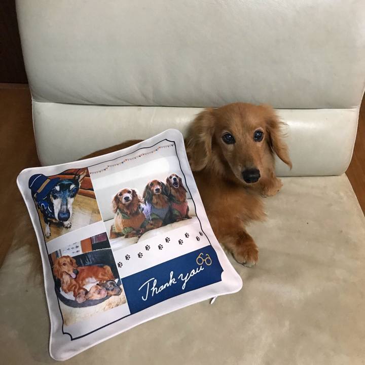 02196c89 b8eb 4a56 b970 5c988921cf95 1591788369363