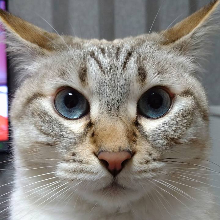 0219a994 6384 4cb0 adc3 9597df2e611e 1665140443652