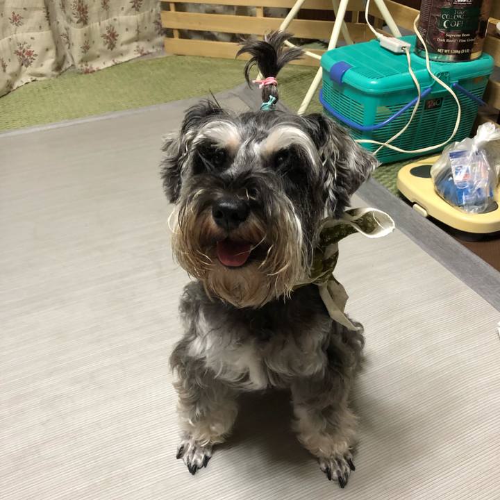 0219d127 2c61 4baa 88f6 58998ed508ab 1565100383240