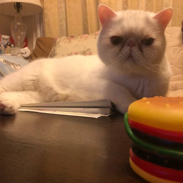 021a0165 20f3 457e b419 efaaec534677 1652965674320