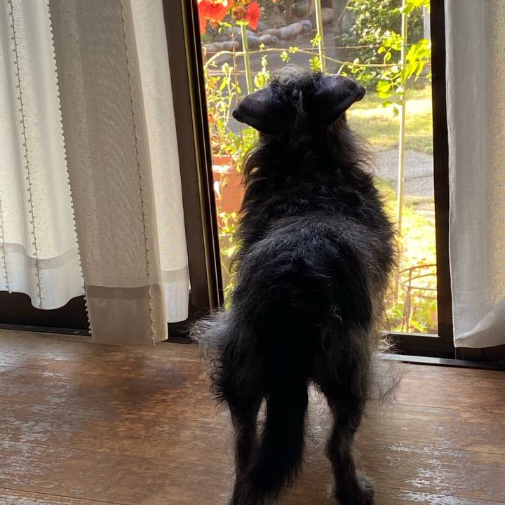 021a605f cb76 4ce4 bcc8 7a7566e2dd59 1600732186195