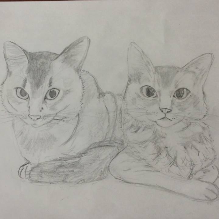 021a8260 0a35 4094 95a2 05d7c26926d9 1574843687877