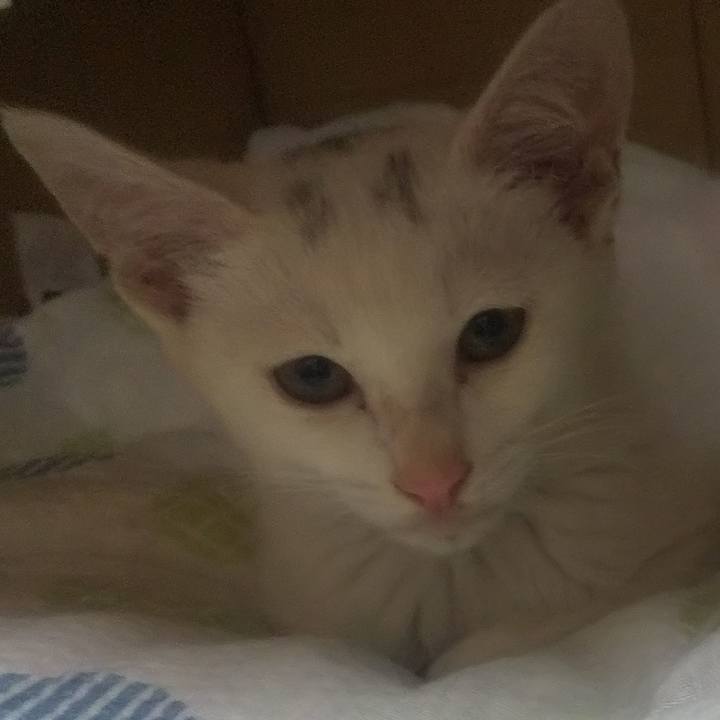 021a893f 89a7 4089 8a9a caad516aef02 1689465397449