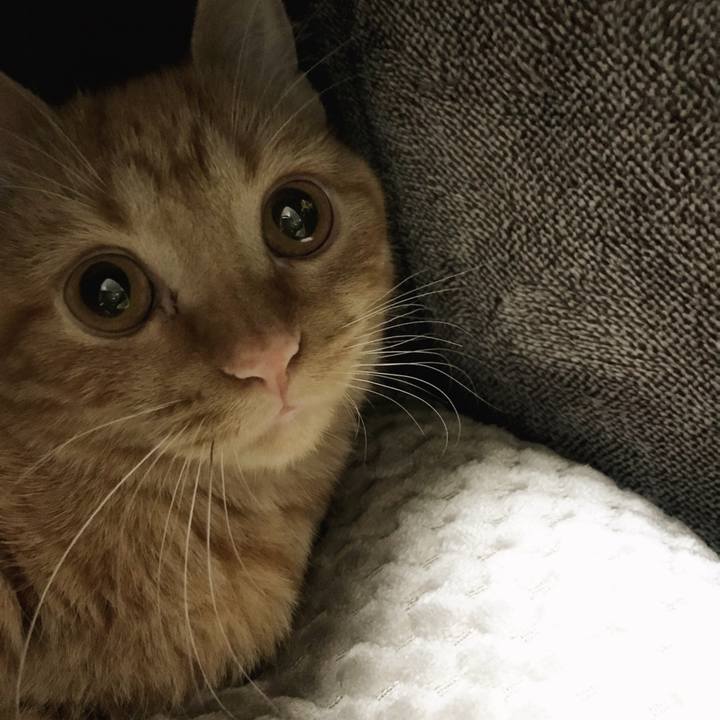 021ab5ab 8eab 48be 9679 4fdaee27c412 1510641956412