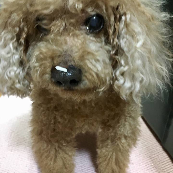 021afa0c 887e 4377 9c7d a3b924bcad57 1523806672512