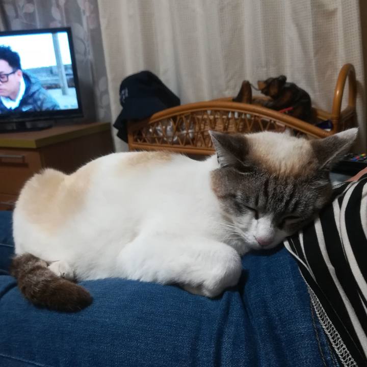 021b07b1 6103 446f 9a2e 192de2f16bd9 1523699115435