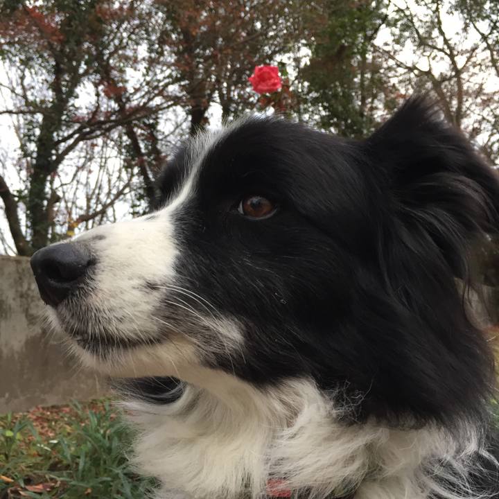 021b3a84 1268 4e3c a79a 72a367938d91 1575328730008