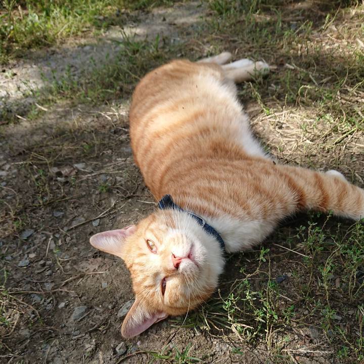 021b3fb4 caa9 4d8f b182 15d9bb92156a 1567821948083