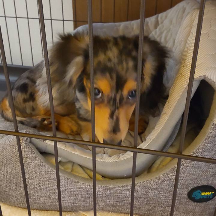 021b7416 6e9a 45ce 8a2f fdf78f1c08d0 1697971225870