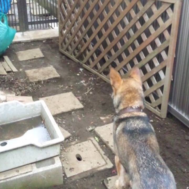 021b812e a0cf 49bd a5f4 198a12c03bb6 1534116826571