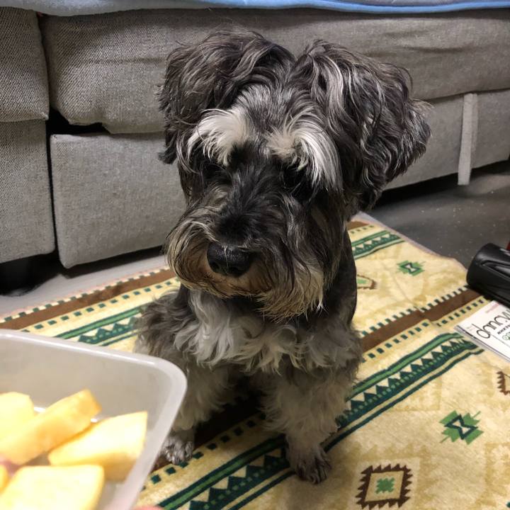 021bf99d ad9b 47f3 8116 d2a0d27991a5 1621857363850