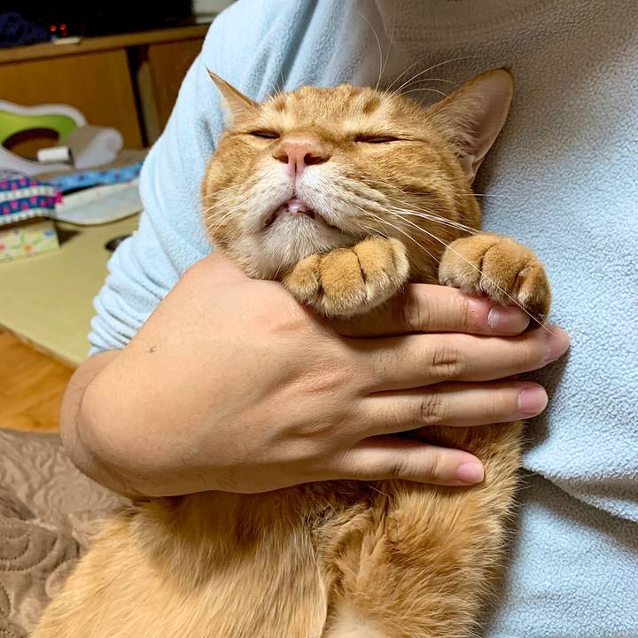 021c22c2 2296 43e2 9a2f 283822c640f4 1577707017036