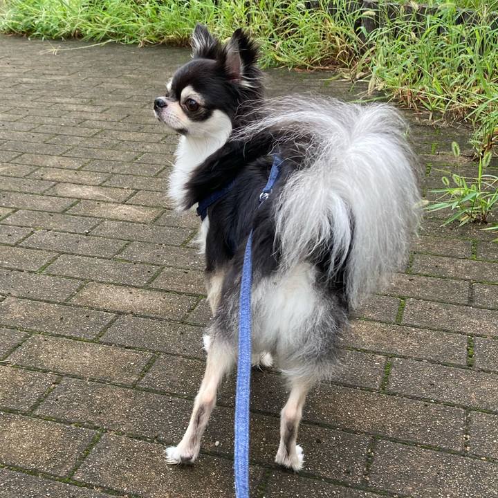 021c32e0 0270 414e 9ce3 6372b6cfcc38 1662212594362