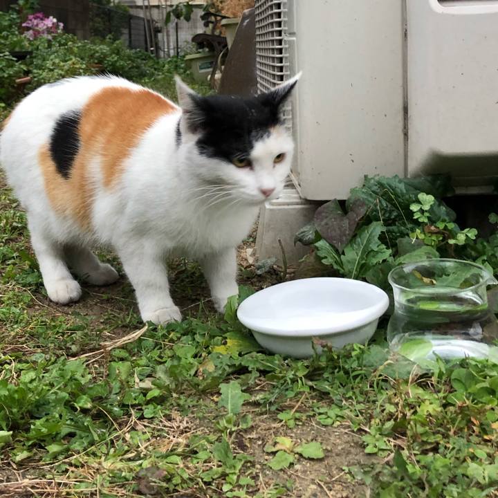 021c429f bc67 4dff a733 c74e8de1786d 1604323496745