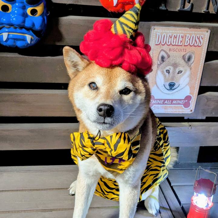 021c4316 4bf4 4b47 9e5b db1e4f671be8 1769439542062