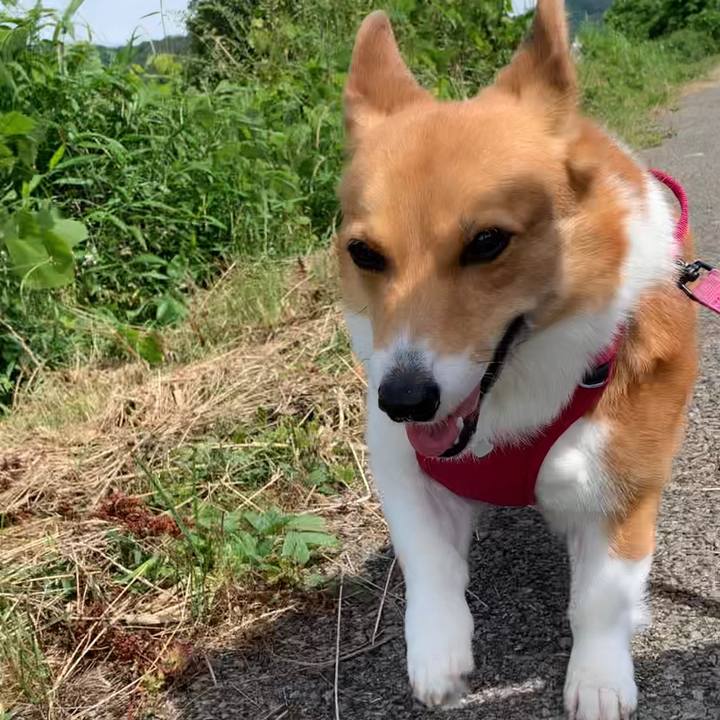 021c5425 cf41 45e0 917c 044eb02984a9 1655087995354