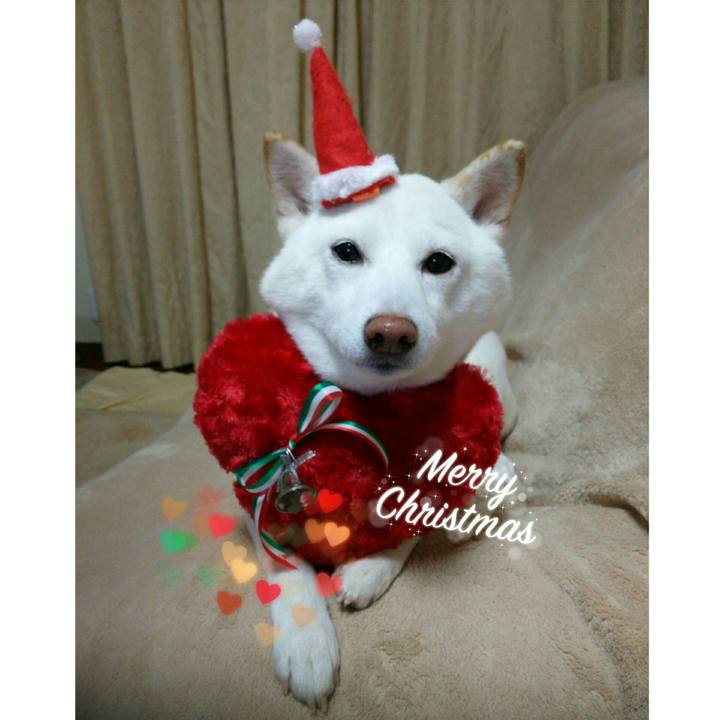 021c5d3a db2d 4bd5 9183 cb7b93db0043 1545612280953