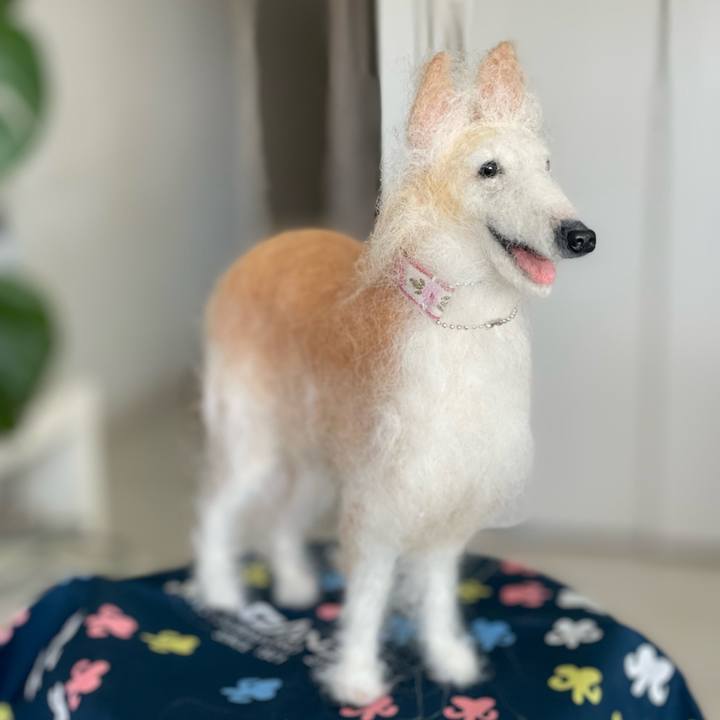 021c88a2 66fb 44e6 b6d3 e190ef4eeec1 1676696285061