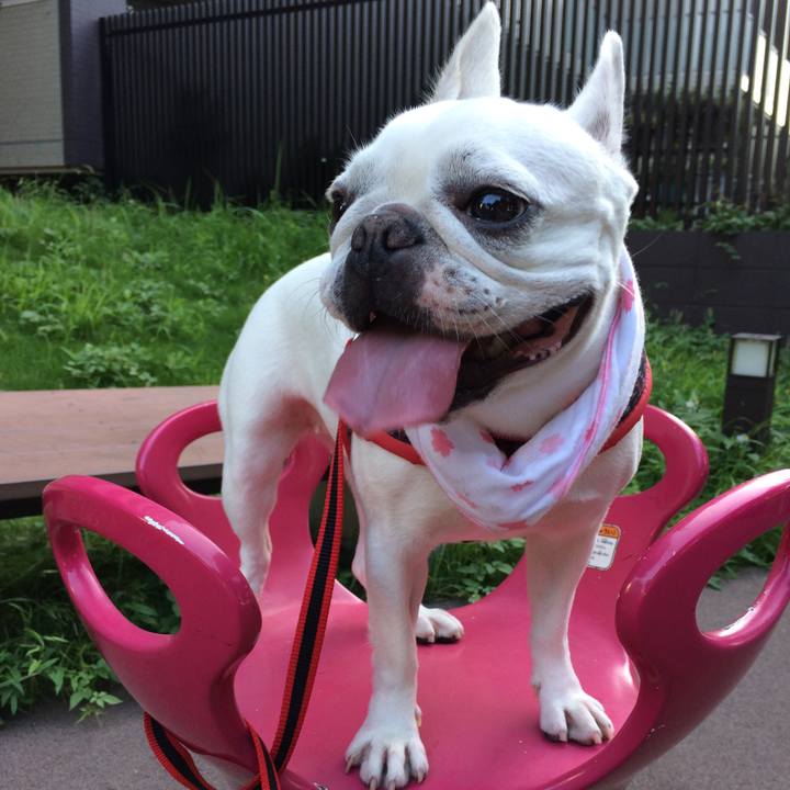 021c9f38 368e 438b a90a 6c9c49540bc3 1531541813424