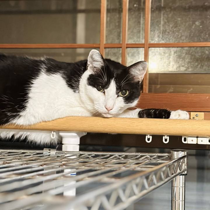 021cf422 f1ca 4c91 b4cf ea40c6764efe 1726187971394