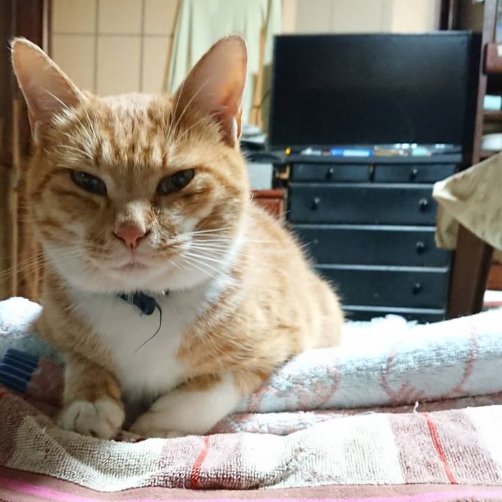 021d8c78 b7df 4fe3 bdc1 ed432dc29d40 1604347940193