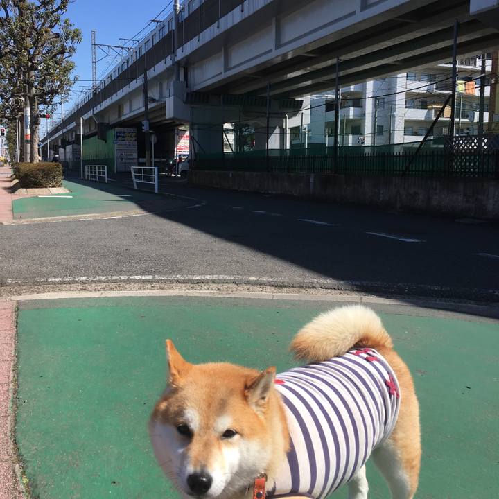 021da91e e88c 425c 9086 7ee5fab7ad00 1552876773520