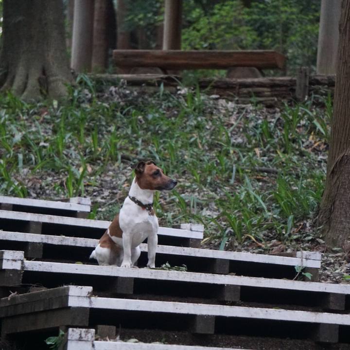 021db42b ea26 4460 8055 b0da939622e0 1523836279075