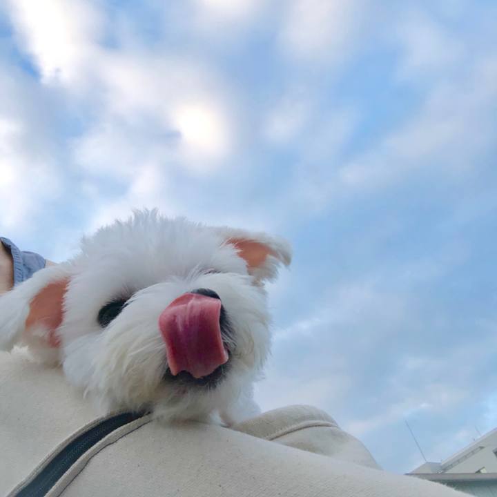 021db522 c4c8 470e bb47 1d723649eaaf 1563929480206