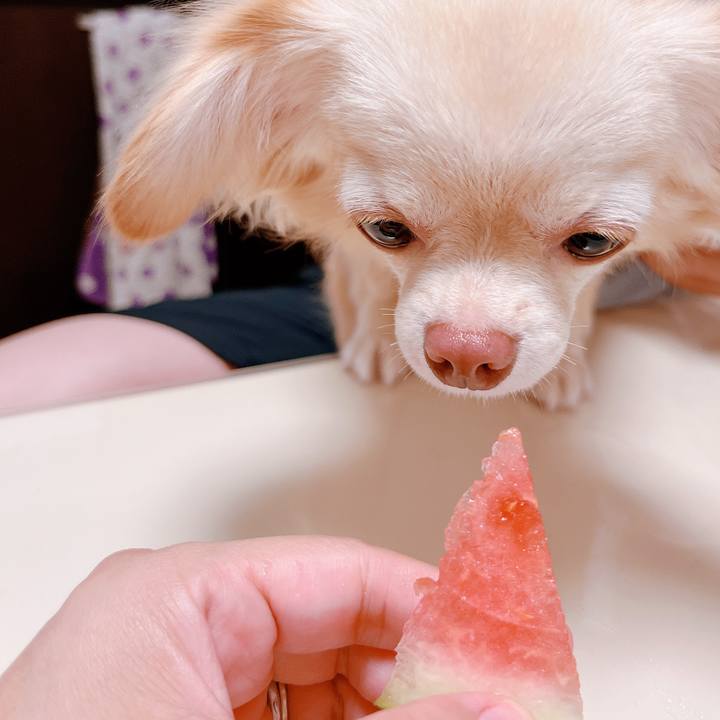 021e2ffd e9e6 462e ba0a 01ae9a9861d8 1657541756771