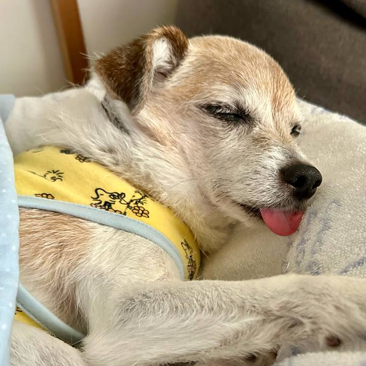 021e38b5 9b47 49d1 897e c3820b74ed3e 1717916105889